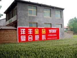 资中如何让墙体广告展现最大化效果