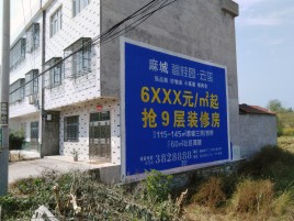 资中墙体广告质量分析