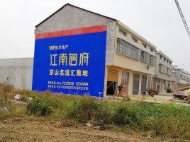资中农村墙体广告在不同形式上面展现的不同特色