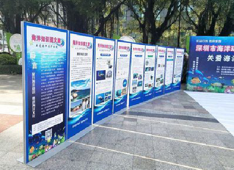 资中KT板的种类和知识。